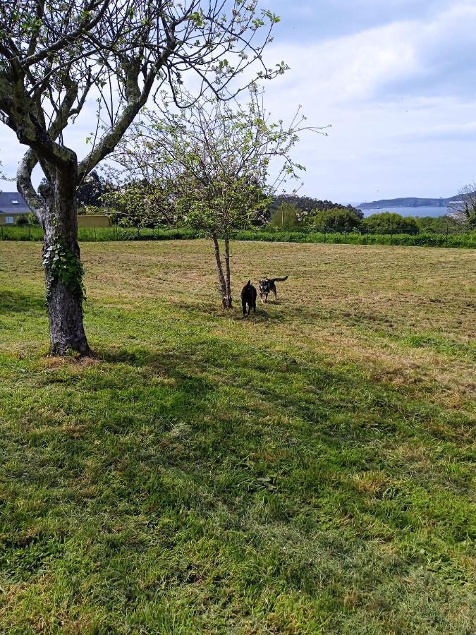 Pozo Das Leiras-Izquierda- Ares Esterno foto